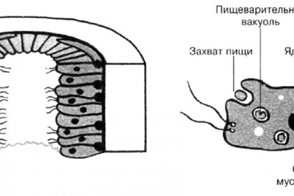 Кракен ссылка kraken dark link