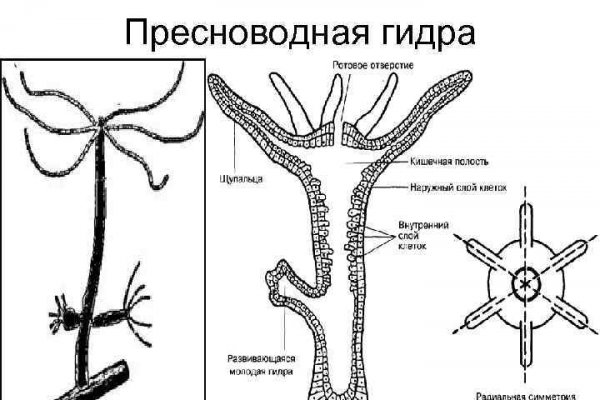 Кракен ссылка орион